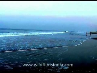 Tide comes in on a calm evening, in Goa...