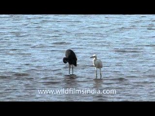 Gaurishankar Lake in Bhavnagar!