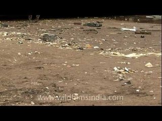 Waste land of Alang, where ships get cut!