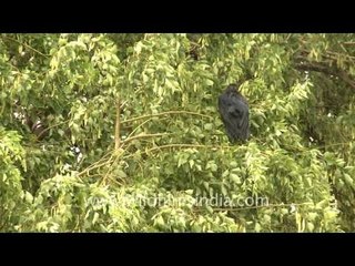 Delhi cooled off with the sudden rain!!