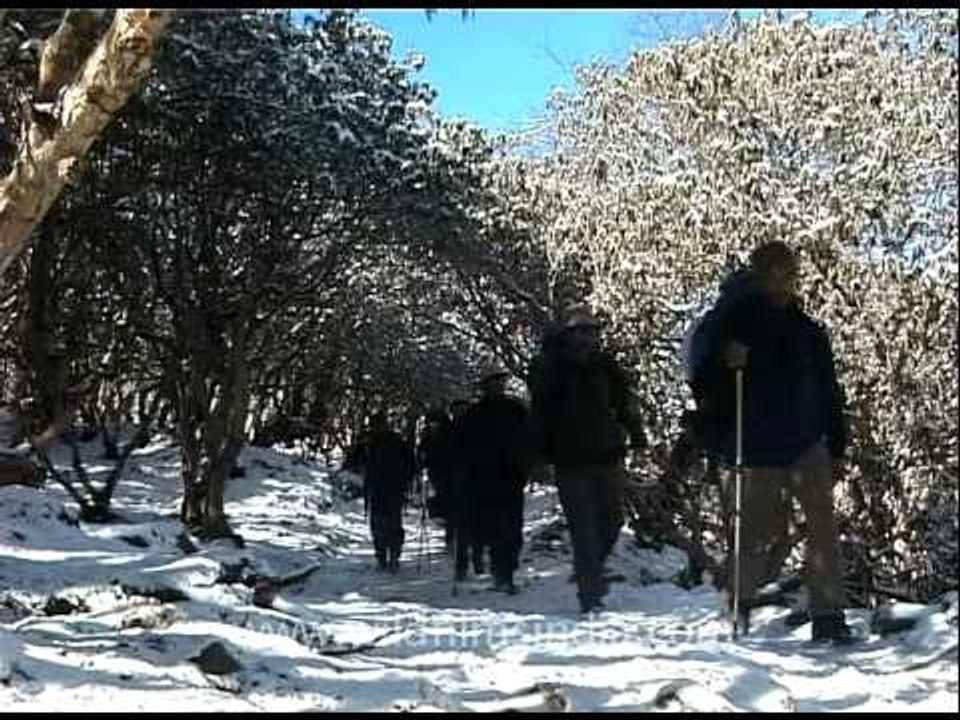 Trekkers passing by