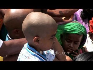 Kids with shaved heads, at Thaipusam!