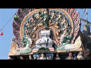 Palani hill temple, Thaipusam