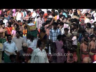 Crowd gathers for Thaipusam
