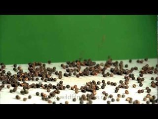 Free falling black pepper