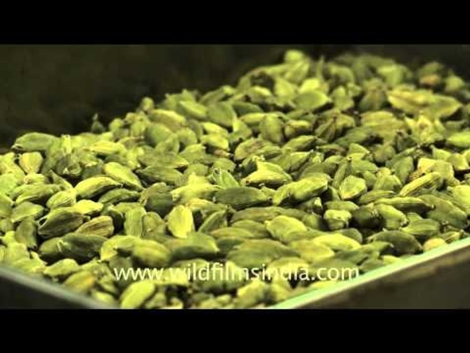 Elaichi and other spices, Khari Baoli street, old Delhi