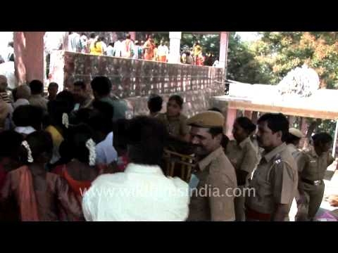 Thaiposam devotees...