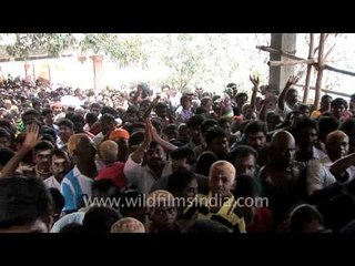 Come one, come all for Lord Murugan, at Thaipusam!