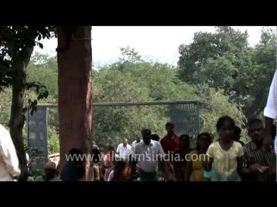 Thaiposam devotees in South India