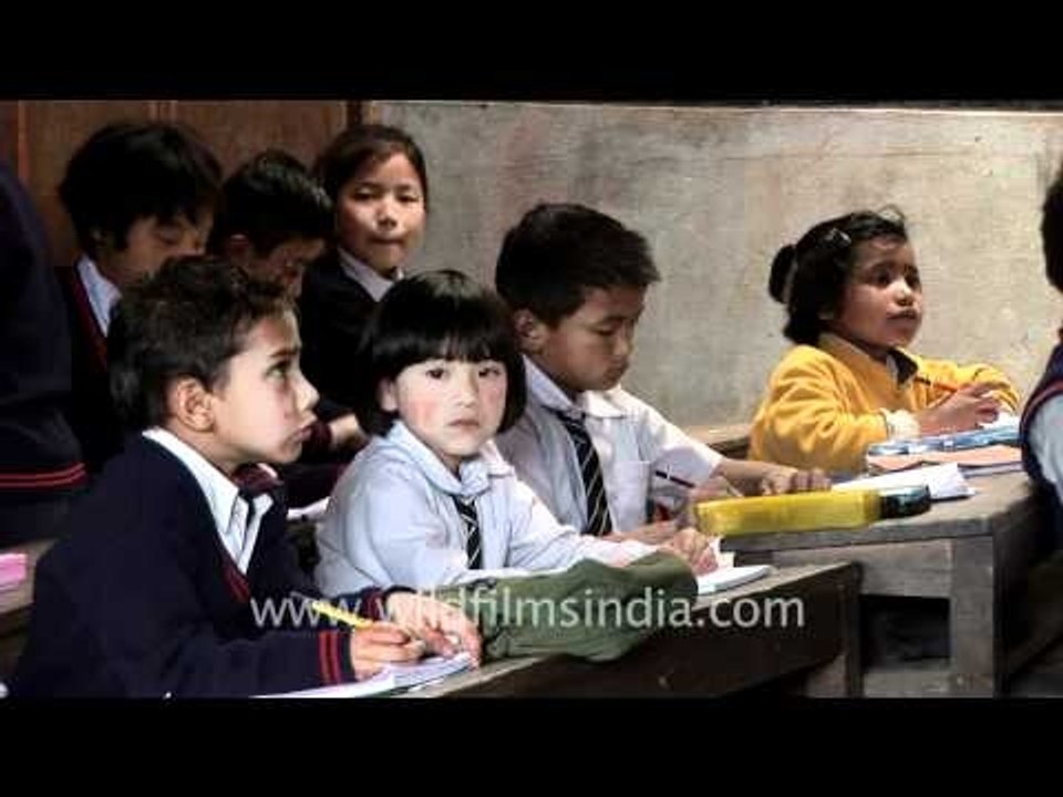 Elementary education in Kohima