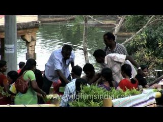 Tourists and locals at Thirparappu Falls, Tamil Nadu