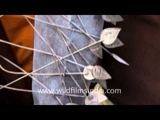Speared for Murugan in Thaipusam, Tamil Nadu