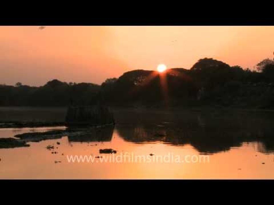 A quick sunset in Pune