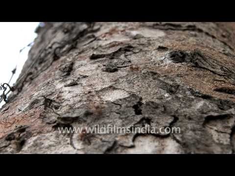 Ants Ants - everywhere!