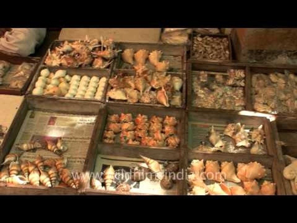 Market in Dwarka