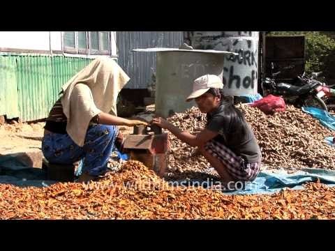 Turmeric grinding machine, Reiek