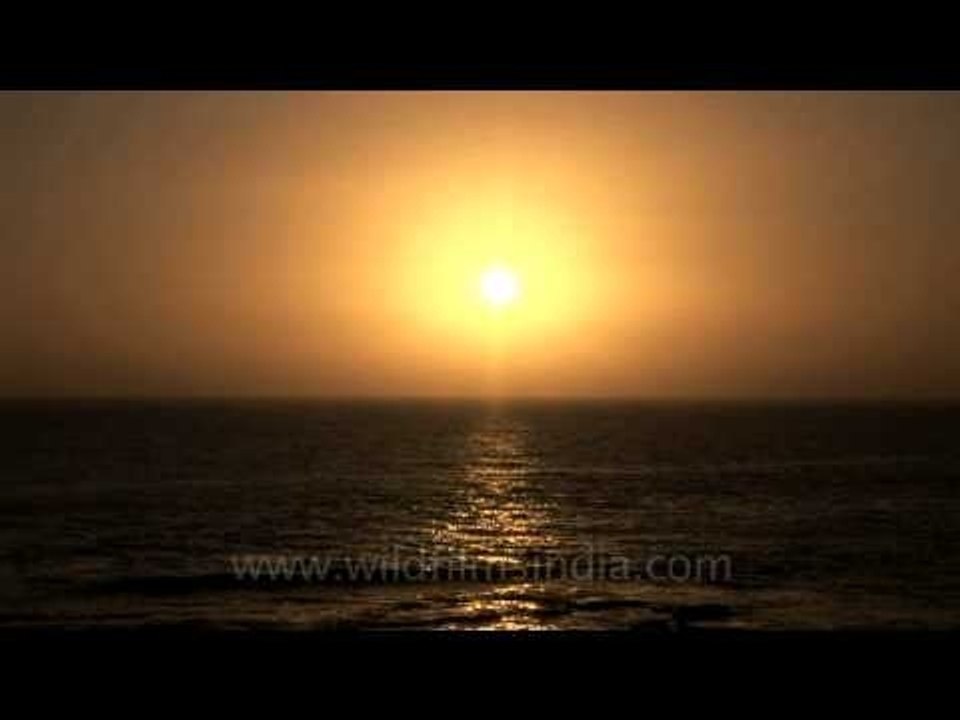Luminescent waters in Beyt Dwarka