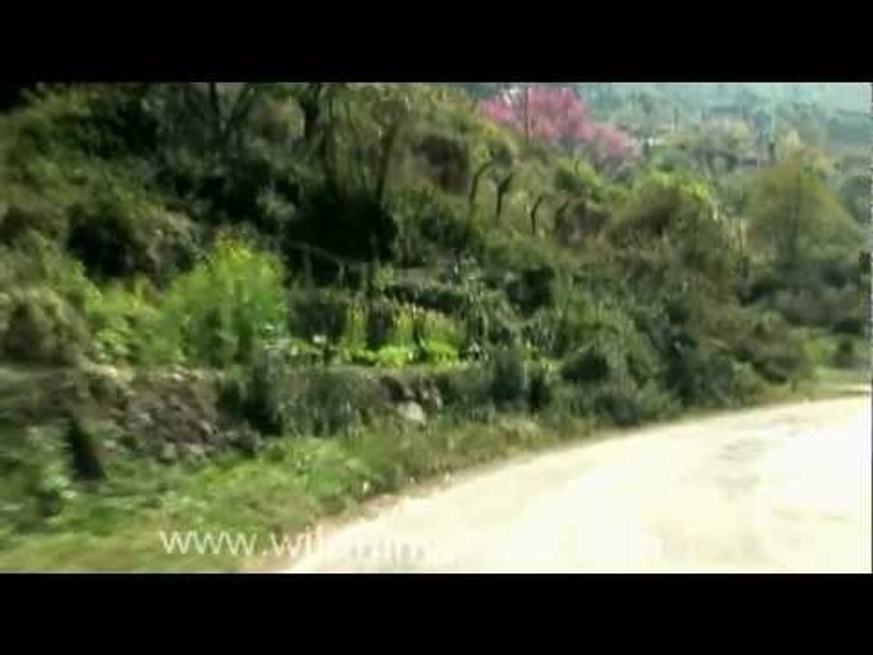 Journey to Kohima