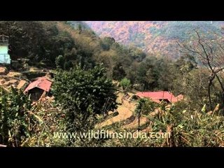 Village in Kohima city Nagaland