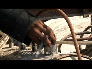 The salt fields of India!