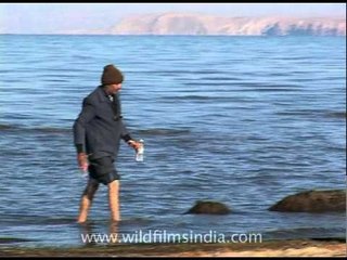 Holy Mansarovar lake in Tibet