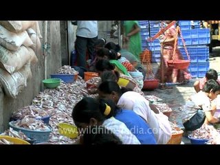 Too many fishes to handle!