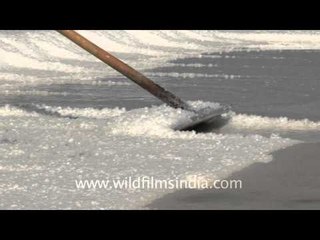 Millions of salt crystals from water, Gujarat