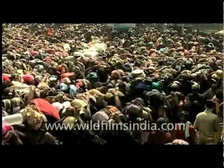 Heaving mass of pilgrims at Sabarimala, India
