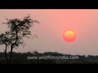 Sunset in the Little Rann of Kutch