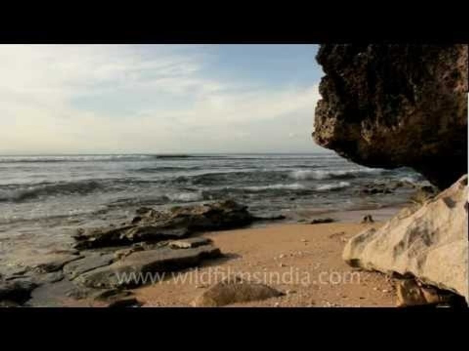 Waves and surf rolling onto a Sri Lankan beach