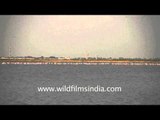 Bajana lake in Gujarat - waterfowl wetland