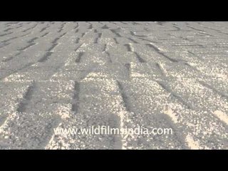 The land that gives salt, Gujarat