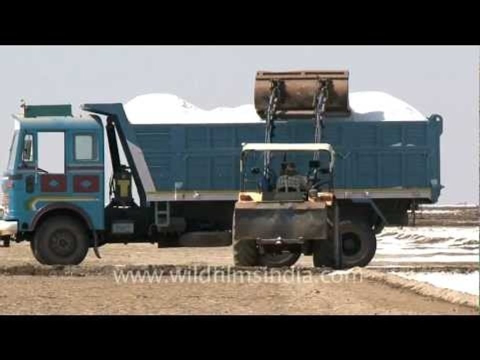 Backhoe loader loading salt onto a truck