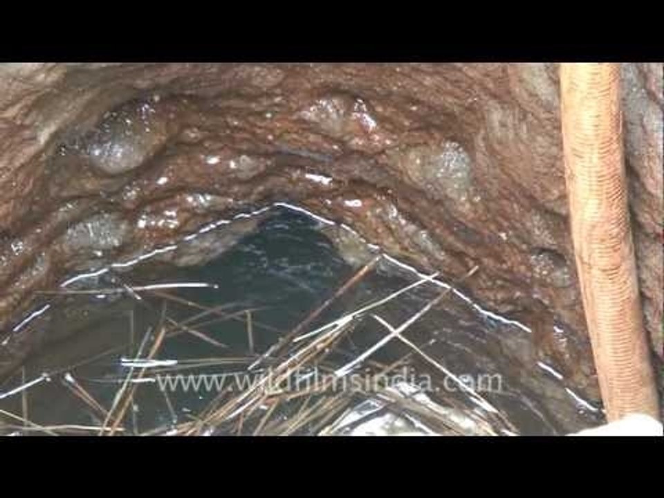 Pumping water from down under, Gujarat