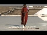 Turning water into crystals of salt, Gujarat