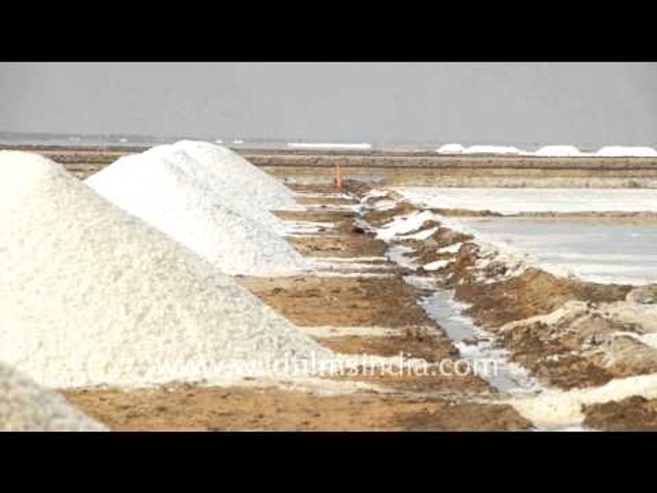 Salt pans, Gujarat