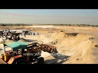 Salt packing, Gujarat