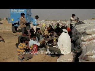 Tea break for salt workers, Gujarat