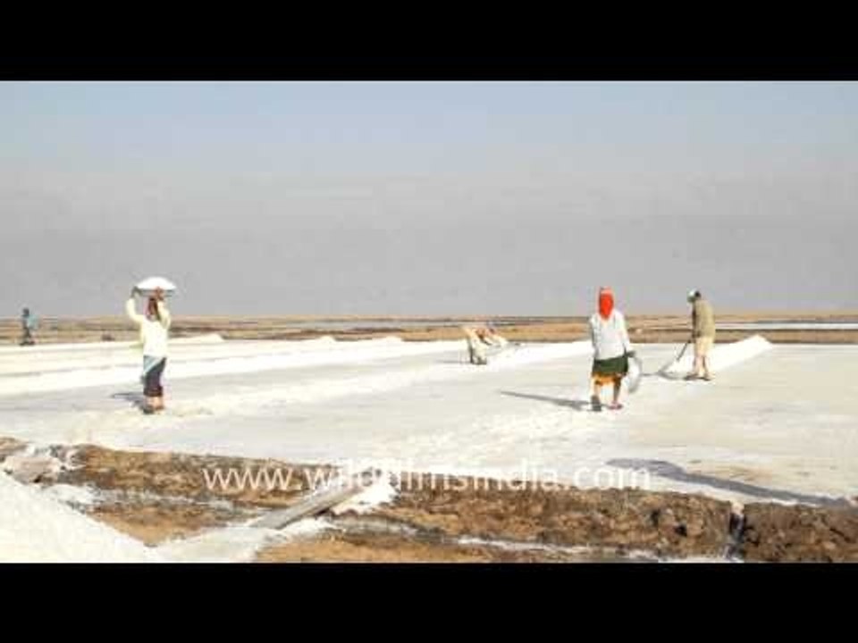 This is a salt pan, Gujarat