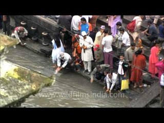 Pashupatinath and the Holy River Bagmati