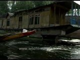 Shikara safari in Dal Lake, Jammu & Kashmir