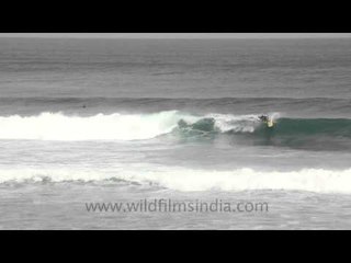 Surfing is fun in Indonesia