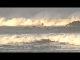 Calling all surfers - Indonesia!!