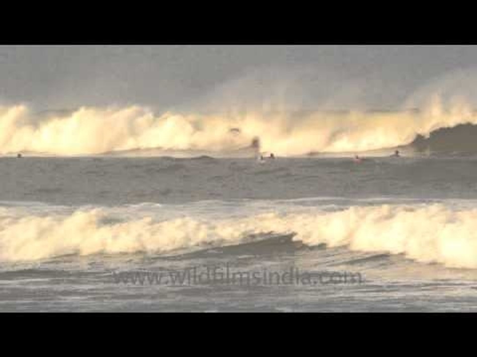 Calling all surfers - Indonesia!!