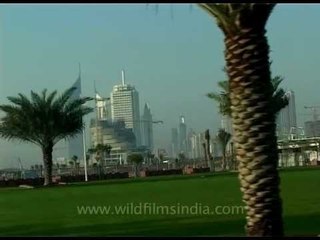 Discover the Vibrant Nightlife and Green Spaces of Dubai 🌆