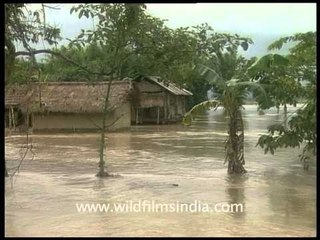 People trying to save what's left, Assam flood