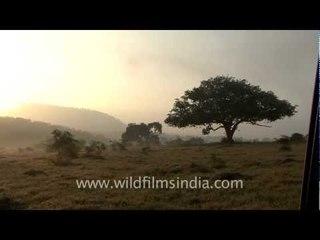 Panna National Park along the Ken River!