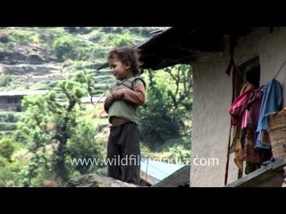 Paddy and wheat fields at Agora village, en route Dodital