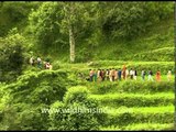 Nanda Devi pilgrimage - Raj Jat Yatra
