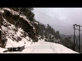 Driving across a white blanket, to Mussoorie
